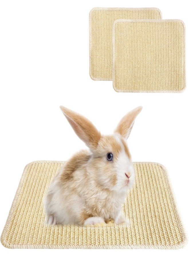 Jevnd 2PCS Large Rabbit Scratching Pad Indoor Edible for Claws and Teeth Grinding Chew Toys, Rabbit Mat for Cages Chew Pad, Rabbit Toys Boredom, Natural Bunny Scratcher pad, Bunny Mat Chew, 16x12 - Image 1